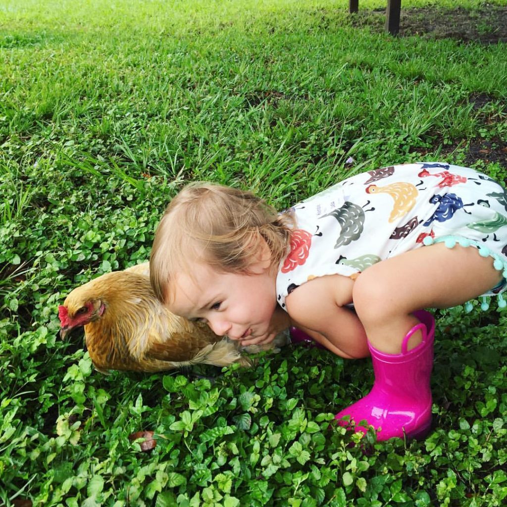 child hugging chicken