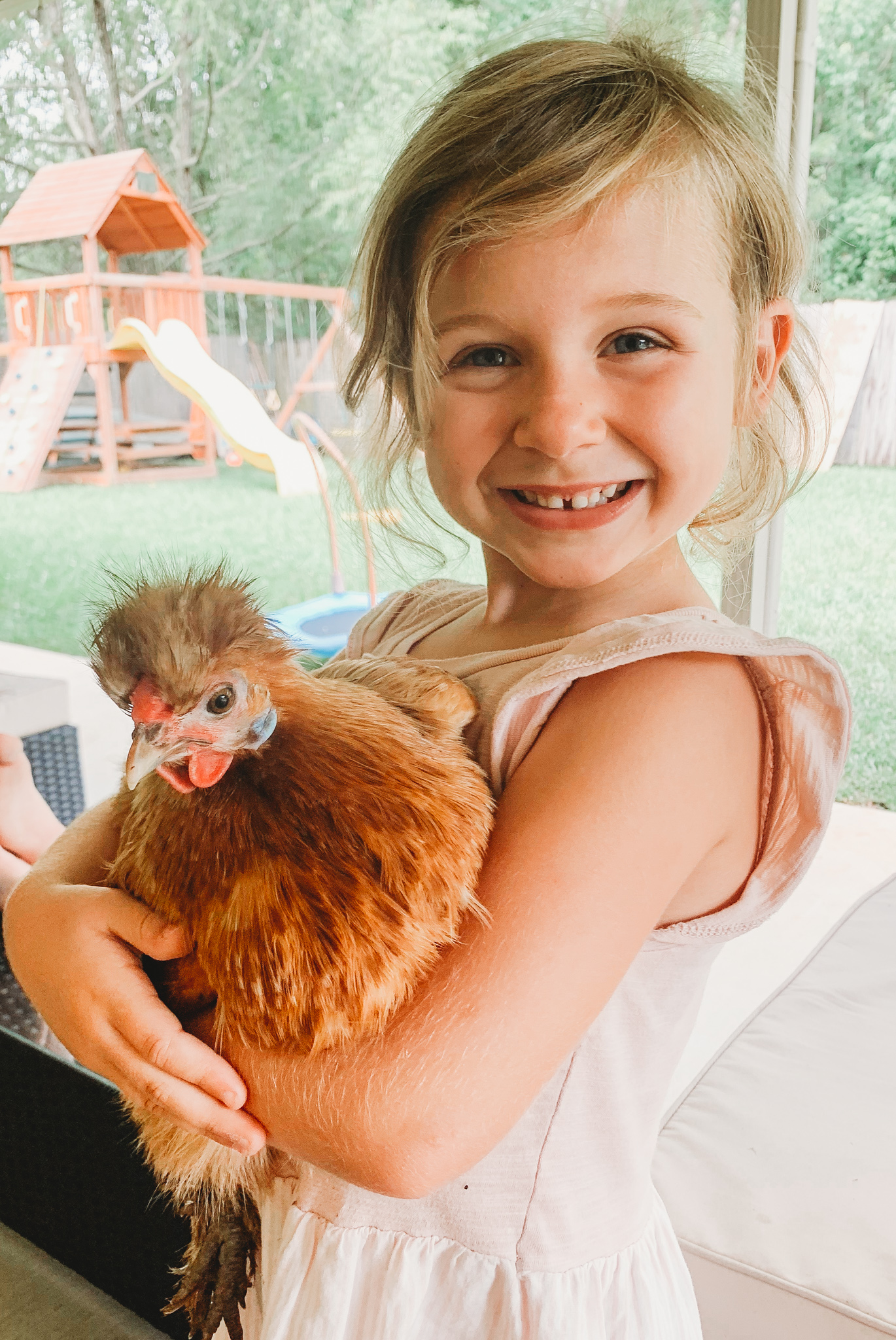 The Best Egg Laying Chickens That Are Kid-friendly