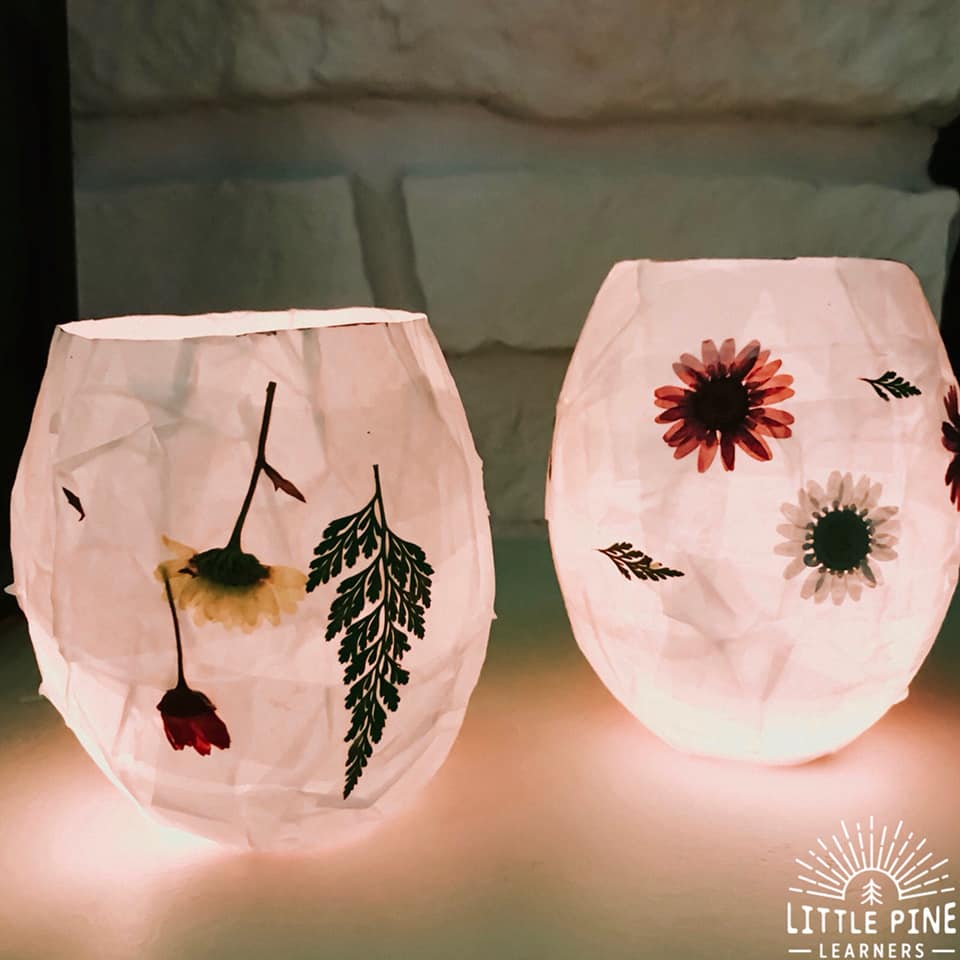 pressed flower lanterns for kids spring craft