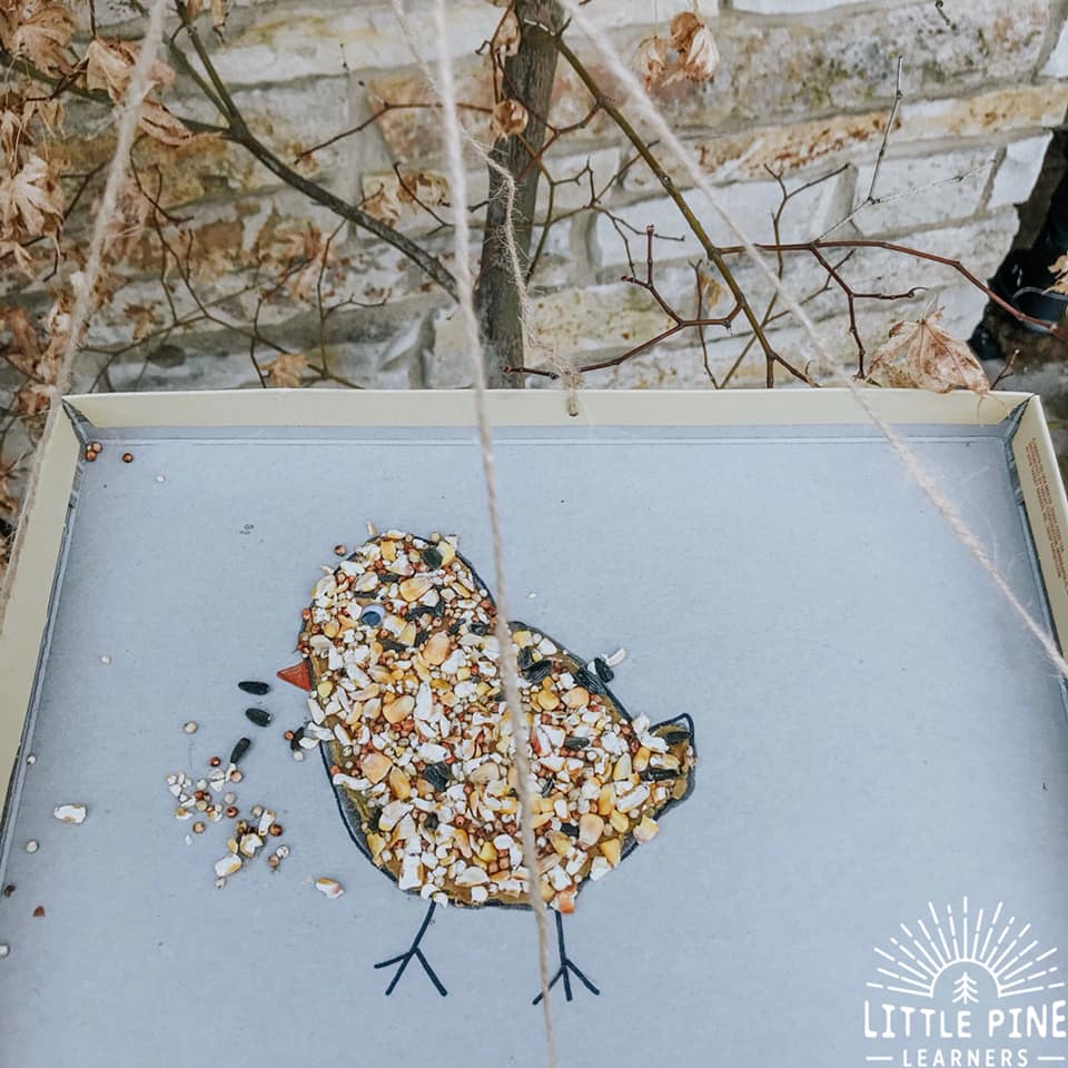 bird feeder spring craft for kids