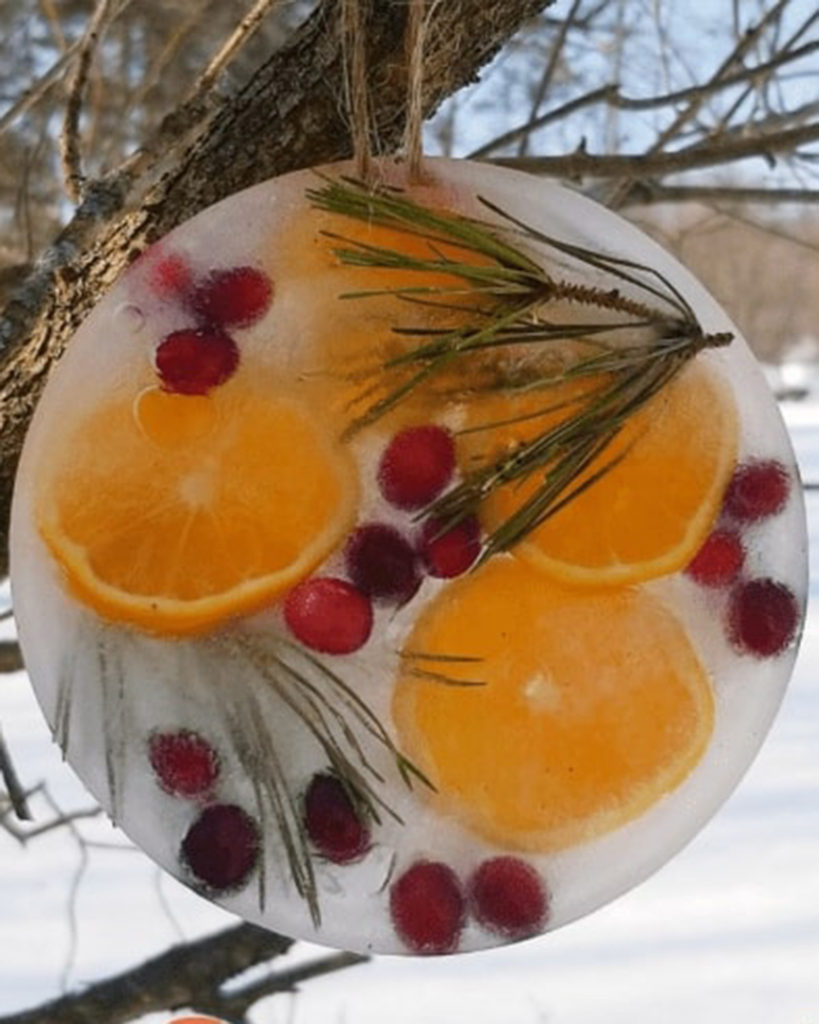 ice ornament for winter craft