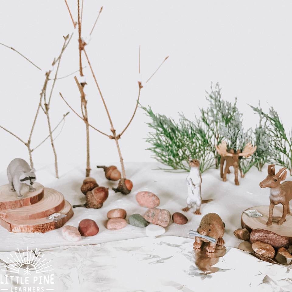 pretend play for winter, winter nature crafts